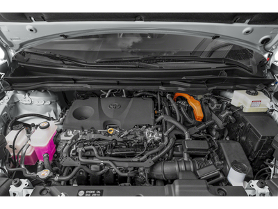 2025 Toyota Sienna Woodland Edition