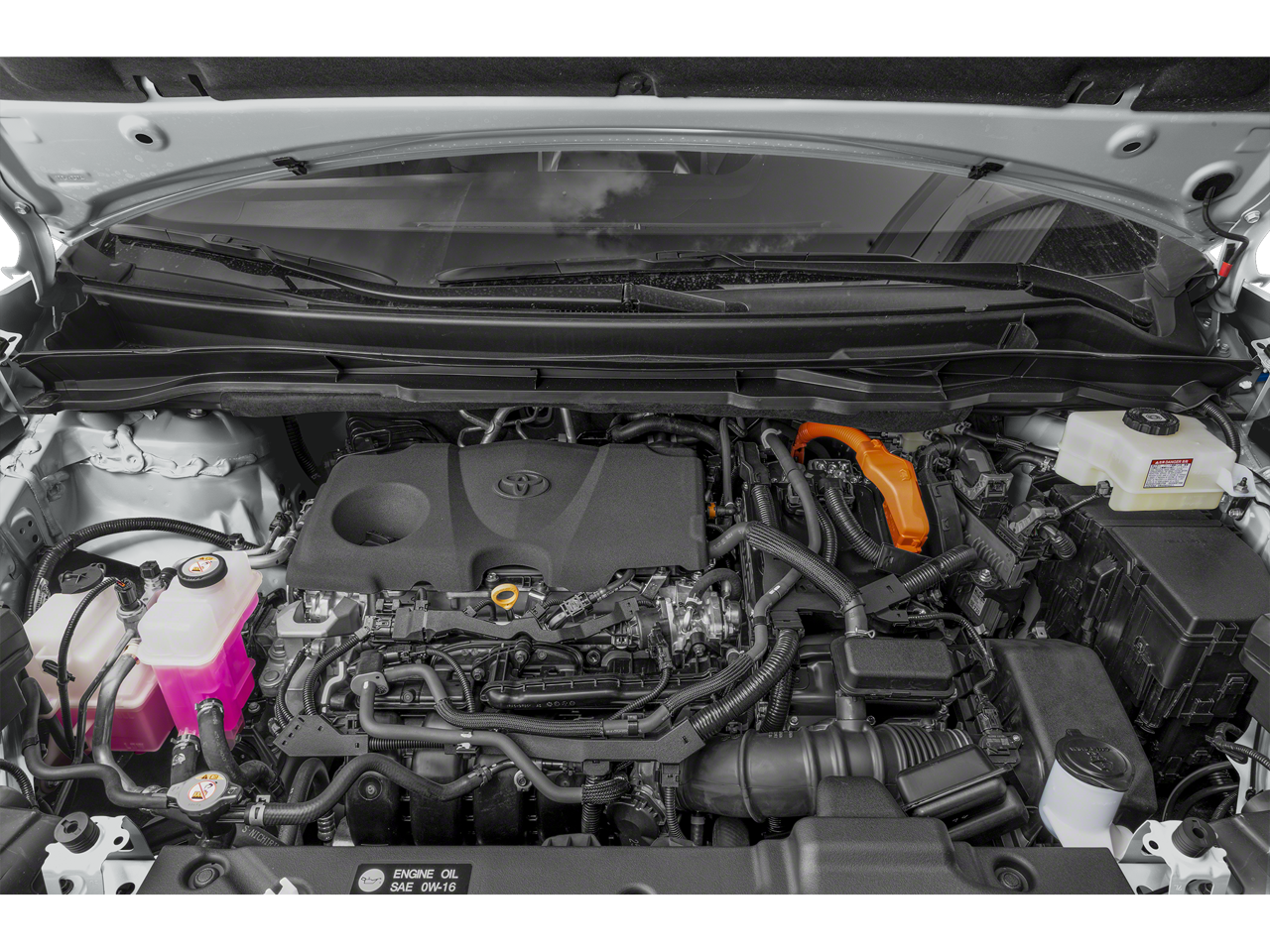 2025 Toyota Sienna Woodland Edition