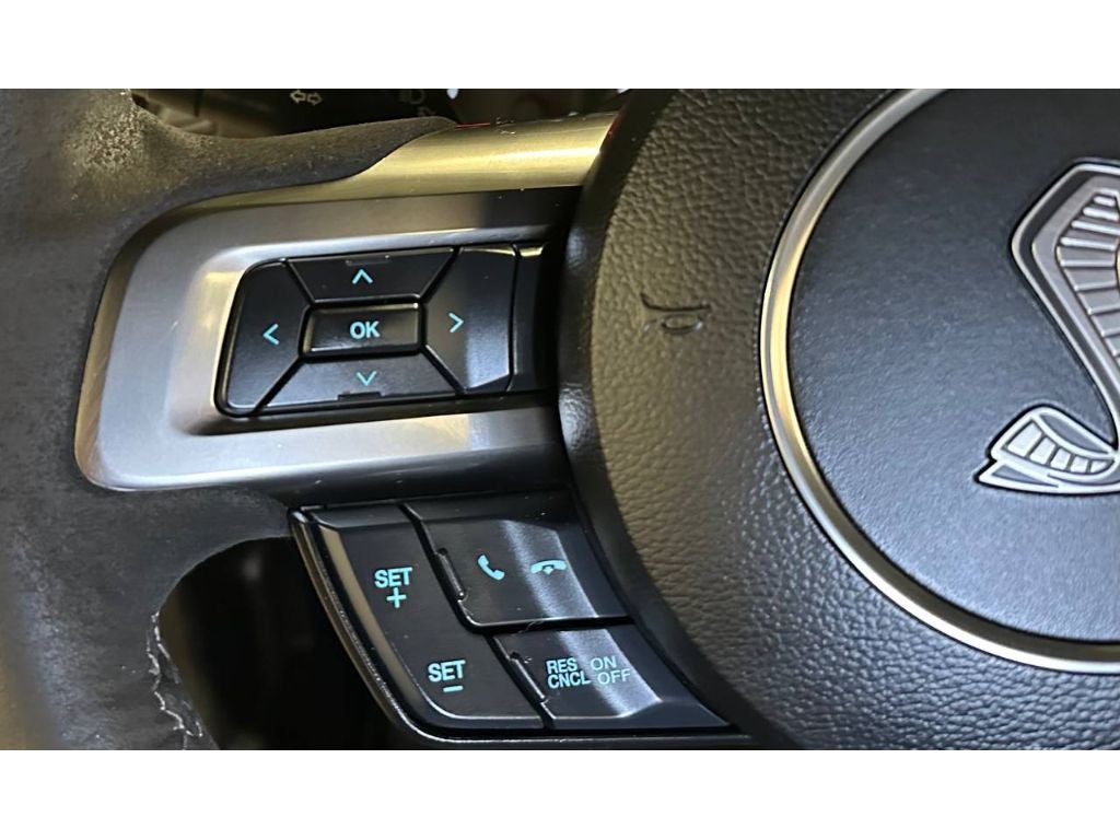 2018 Ford Mustang Shelby Shelby GT350
