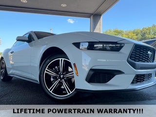 2025 Ford Mustang EcoBoost