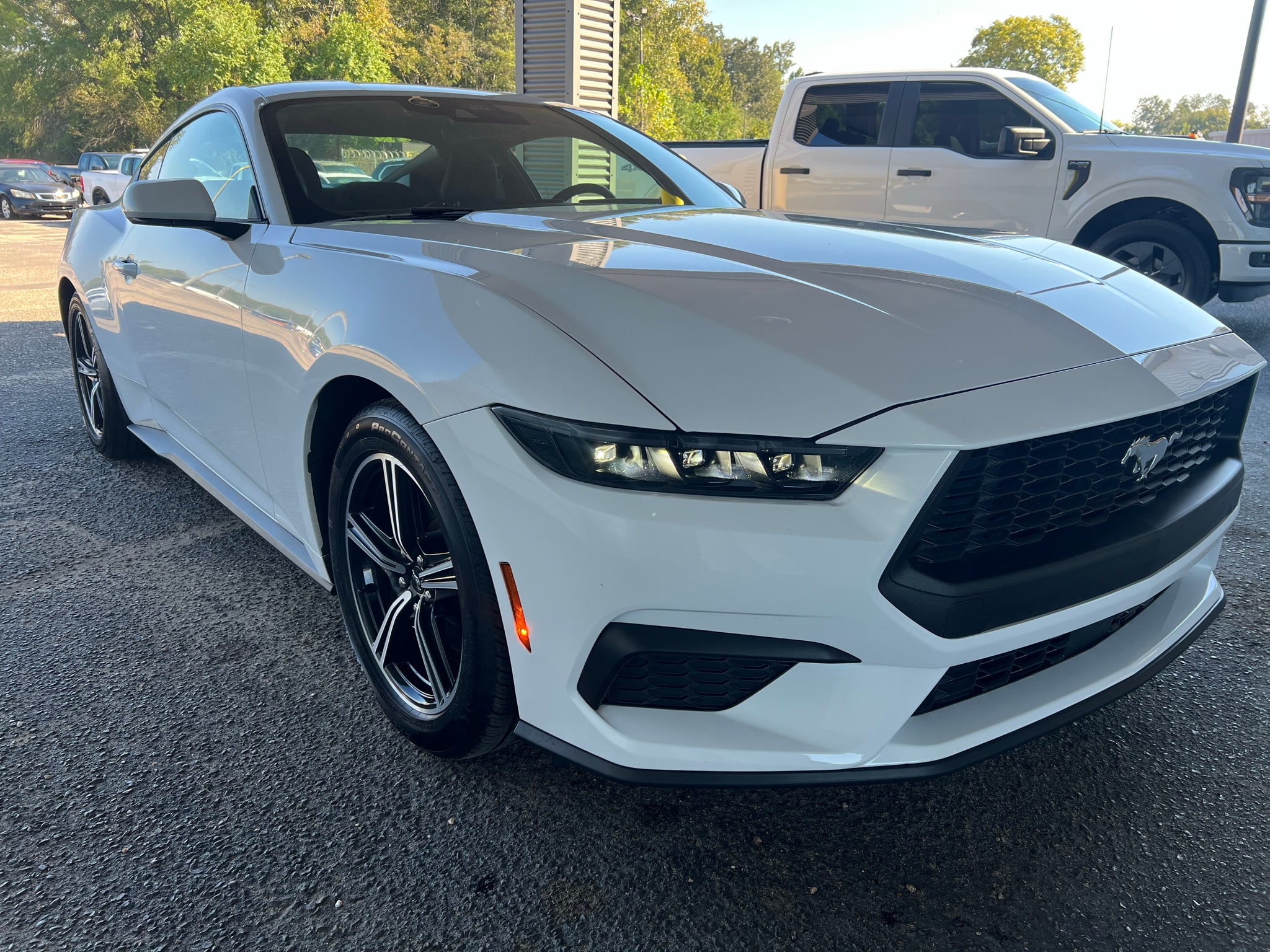 2025 Ford Mustang EcoBoost